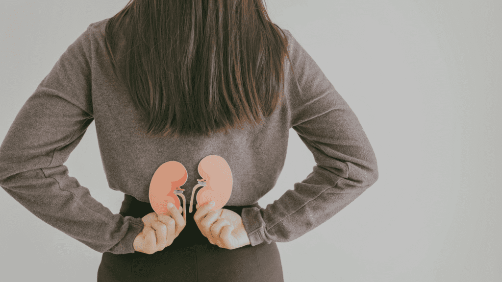 woman from hips up from the back holding two paper kidneys to show kidney pain